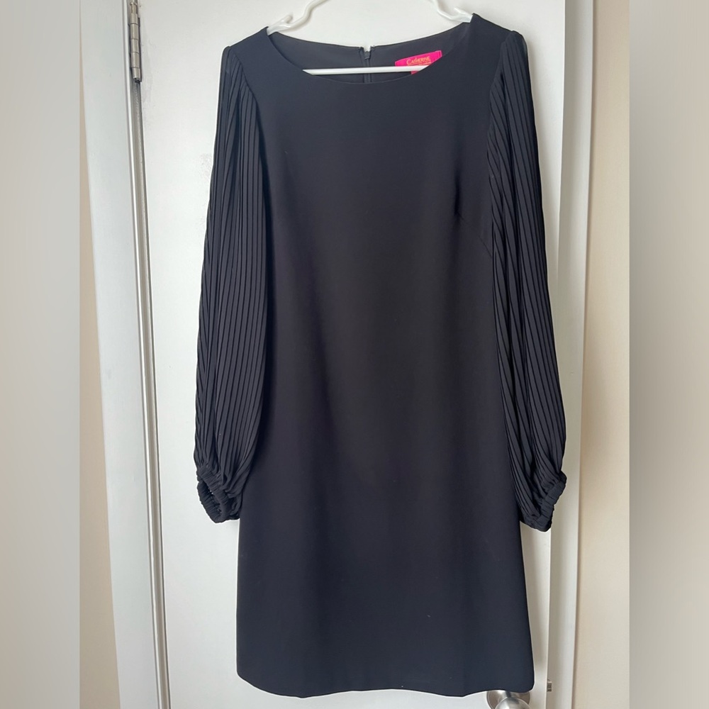 Catherine Malandrino LBD with pleated sleeves